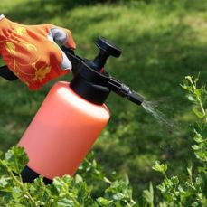 Organic Pesticides